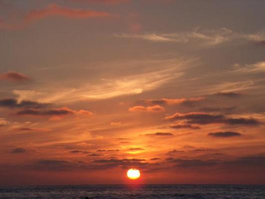 pacific sunset 4-tarje