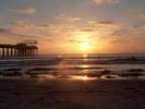 scripps pier-tarje