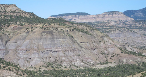 Outcrop image of early Cenozoic landscapes preserved in the Wasatch Formation, western Colorado, USA